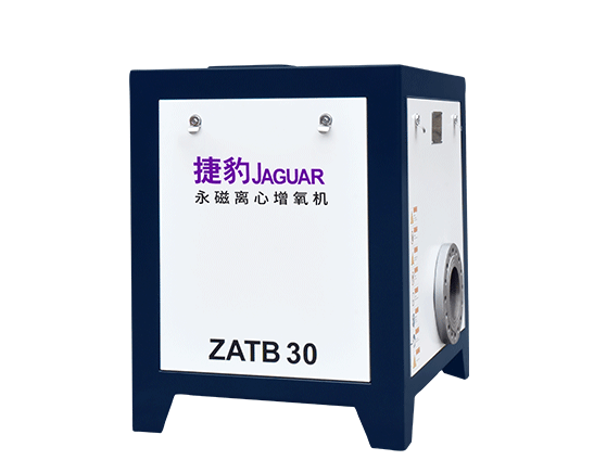 www.涩婷婷.com永磁離心增（zēng）氧機